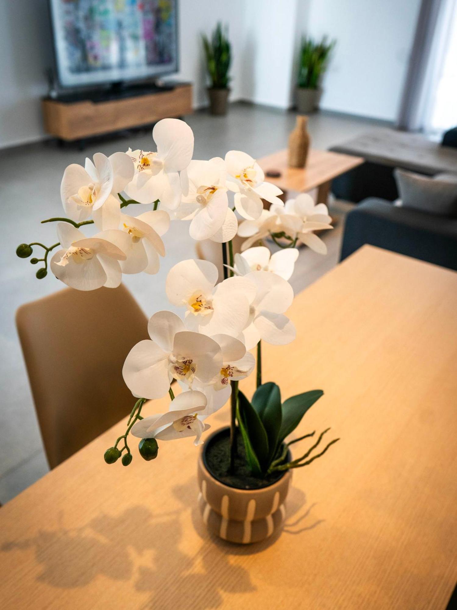 White Luxury Apartment Trikala  Exterior photo